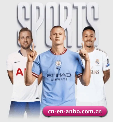 五个功能入口,赛程查询路径更短(ambosports)