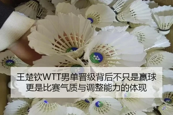 王楚钦WTT男单晋级背后不只是赢球更是比赛气质与调整能力的体现
